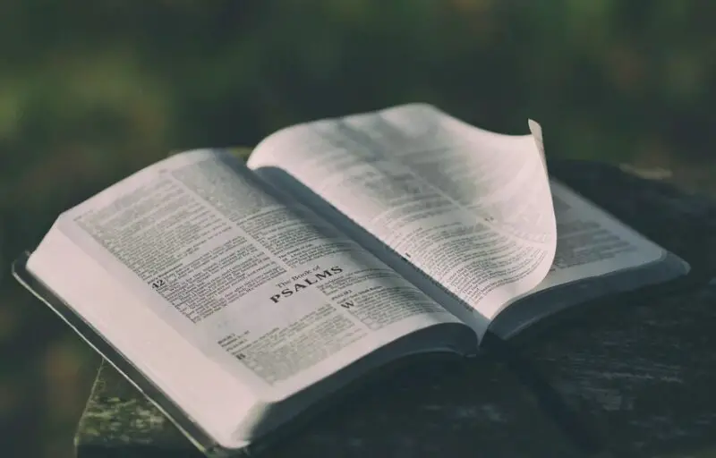 Aprende cómo citar la Biblia en APA